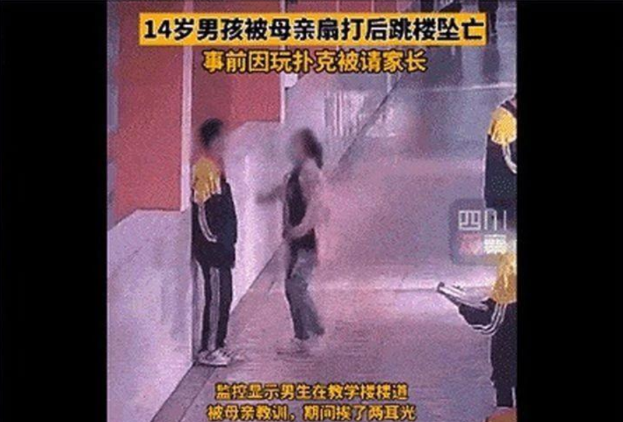 成都四中学生组团虐猫事件，背后社会问题的反思与探讨