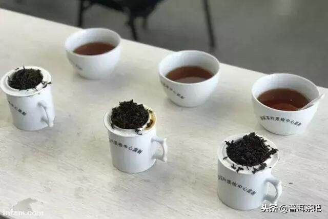 年龄与茶文化的微妙转变，从拒茶到嗜茶的心路历程