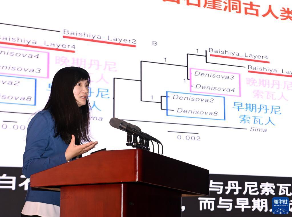 三门峡市社会科学院最新领导团队与研究动态概览