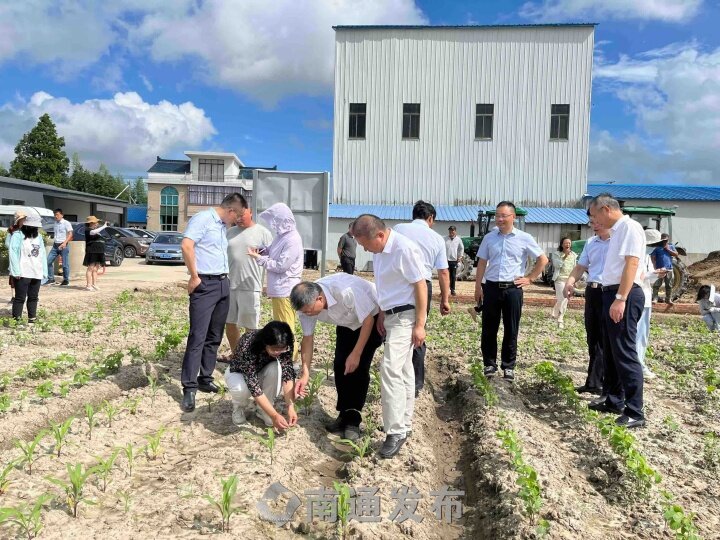 南通市粮棉原种场最新动态报道