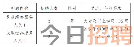 蚌山区民政局最新招聘信息全面解析