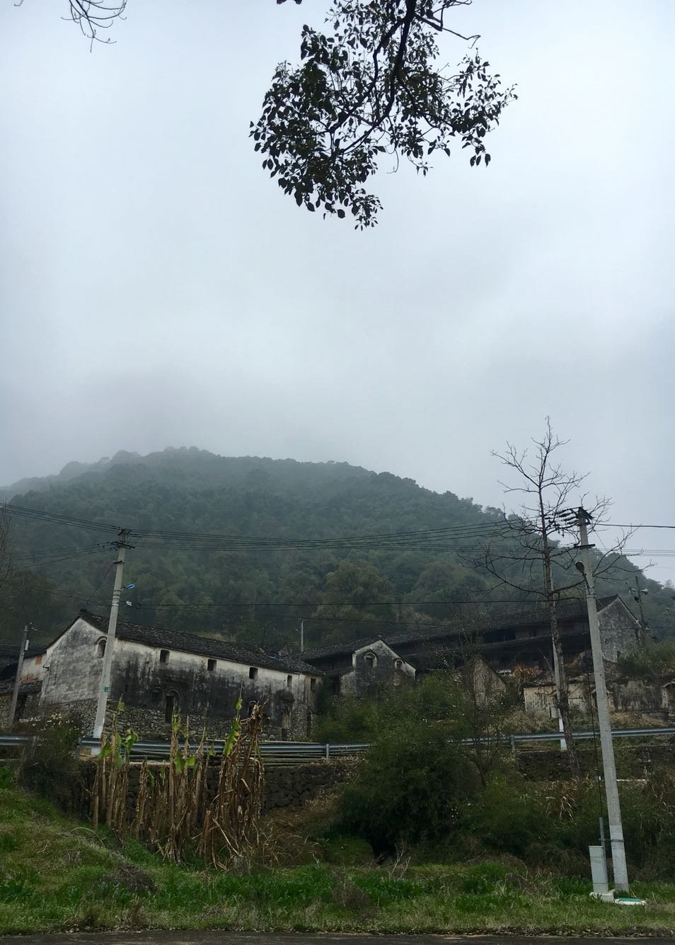 朝东镇天气预报更新通知