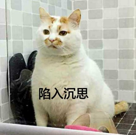 女子陷入猫贷纠纷，网络购物与金融陷阱的警示信号