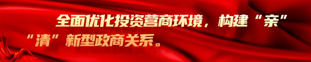 扎兰屯市数据和政务服务局未来发展规划概览