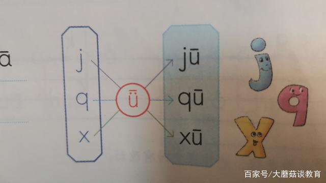 揭秘小学拼音特殊规则，j、q、x与ü的奇妙组合——为何省略ü的点？