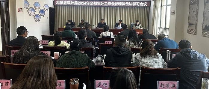 大姚县审计局最新项目动态解析报告