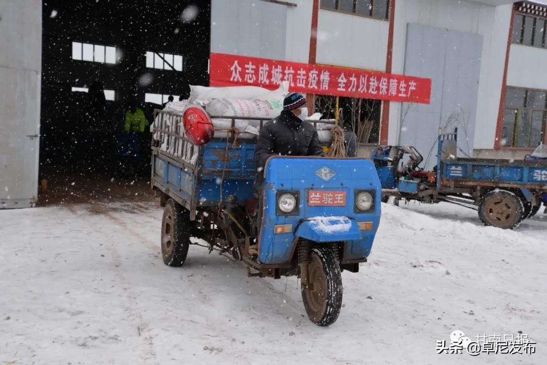 俊驰 第3页