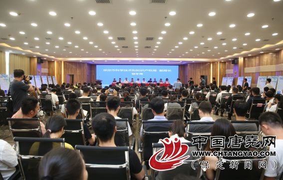 伊宁县人力资源和社会保障局最新项目概览概览与动态