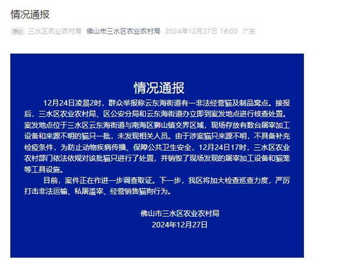 近百只猫水塘溺死事件深度调查与反思，官方通报引发社会关注与反思