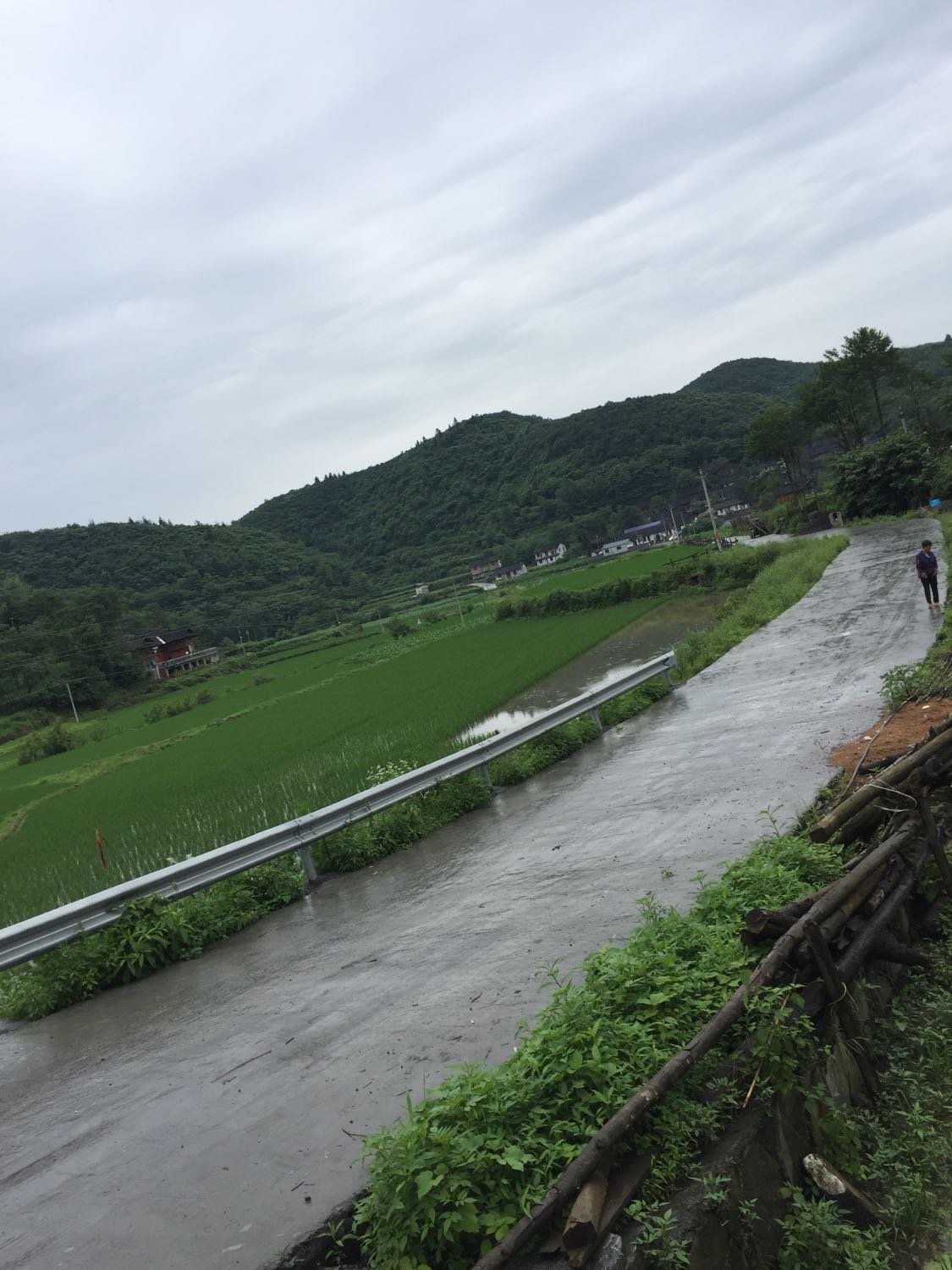 香坪镇天气预报更新通知