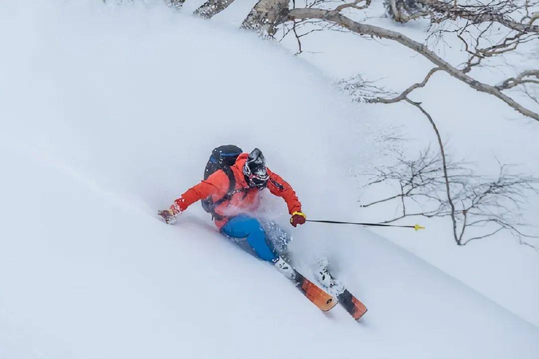 中国游客滑雪遭遇粉雪险境致悲剧，警示滑雪安全需重视