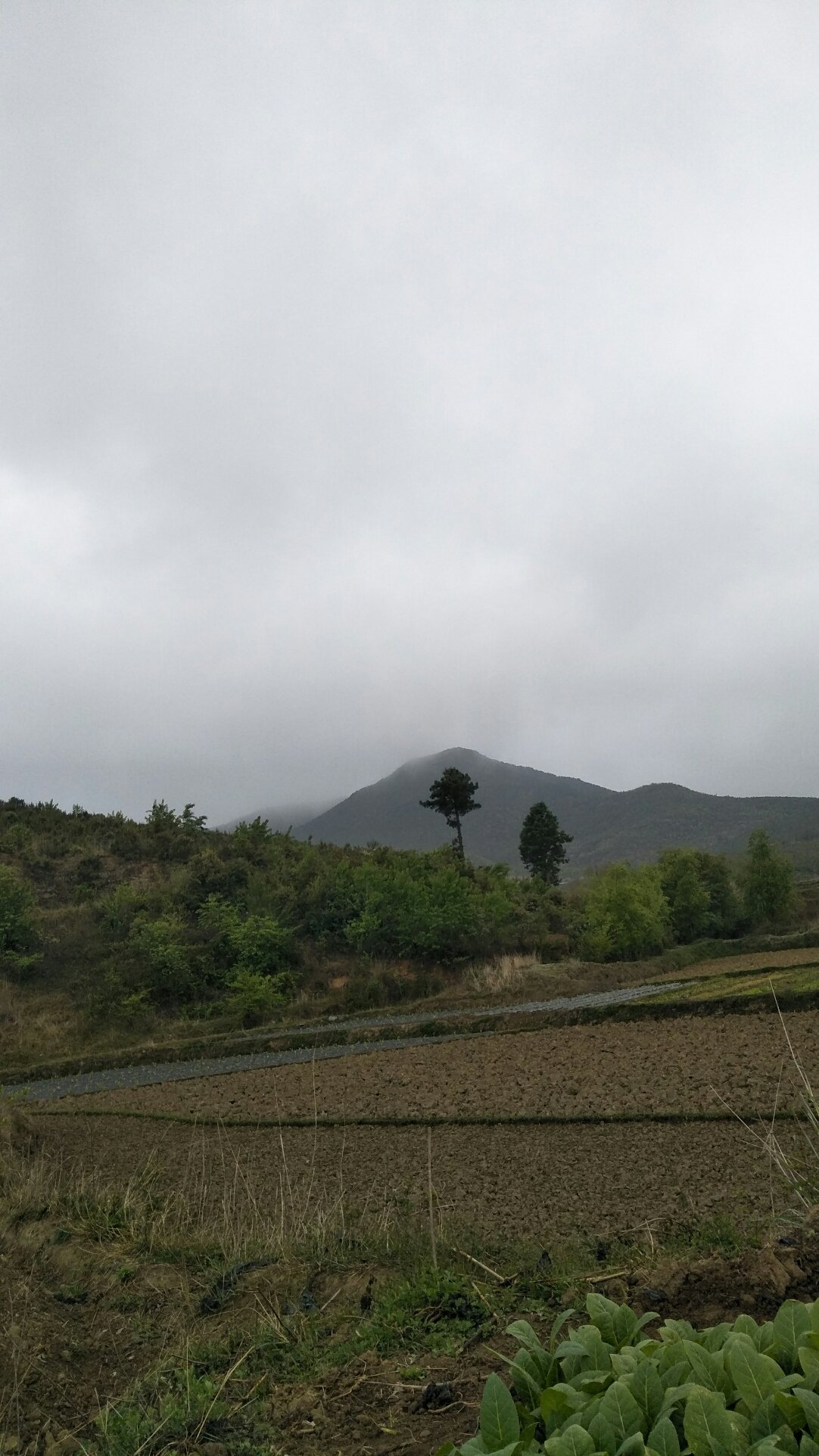 功山镇天气预报更新通知