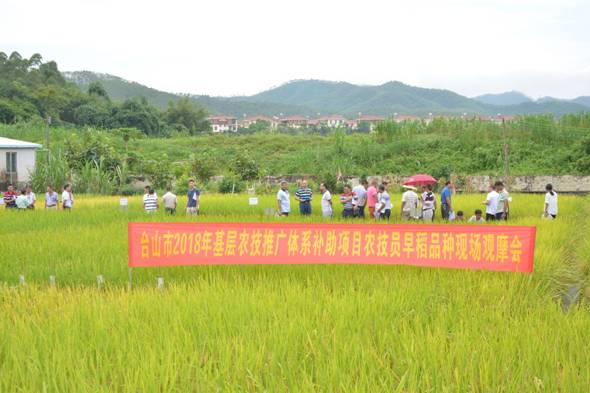 广河县农业农村局新项目推动农业现代化助力乡村振兴