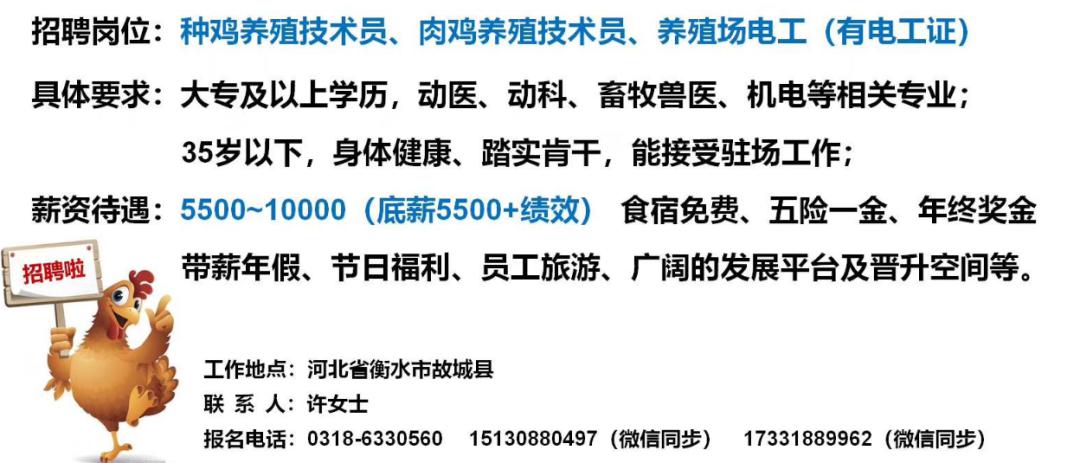 郑陆良种繁育场招聘启事，最新职位空缺与机会