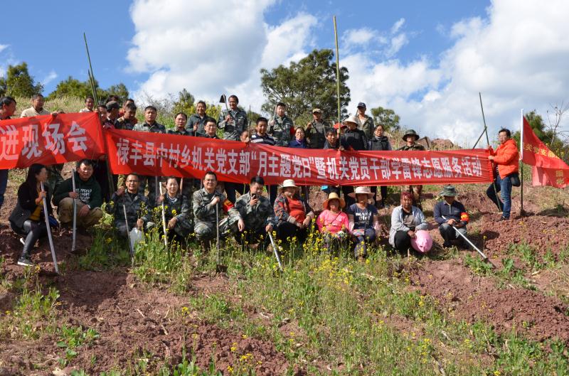 桑家湾村委会最新动态报道