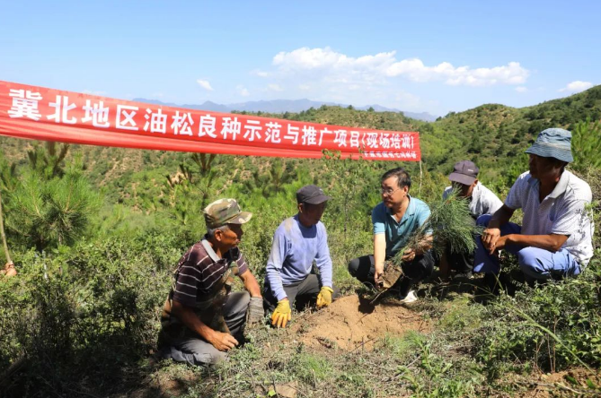 永幸林场最新新闻动态报道速递