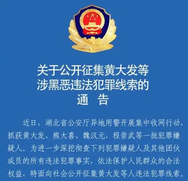 武汉高启强涉黑组织被成功打掉，黑暗势力背后的真相浮出水面