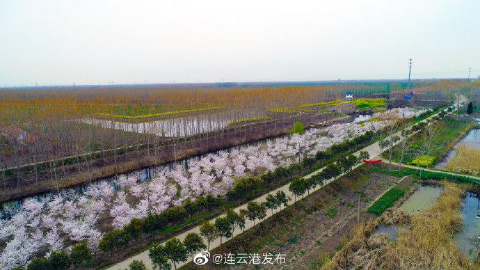 岗埠农场未来发展规划展望