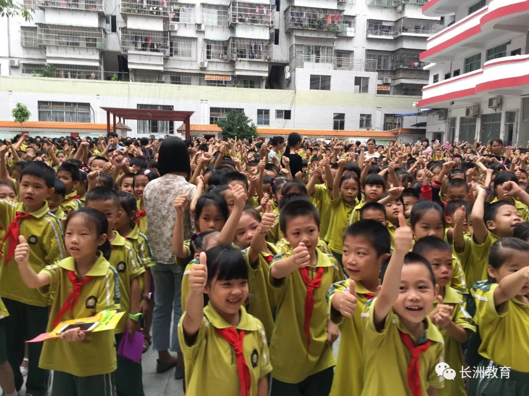 长洲区小学最新动态报道