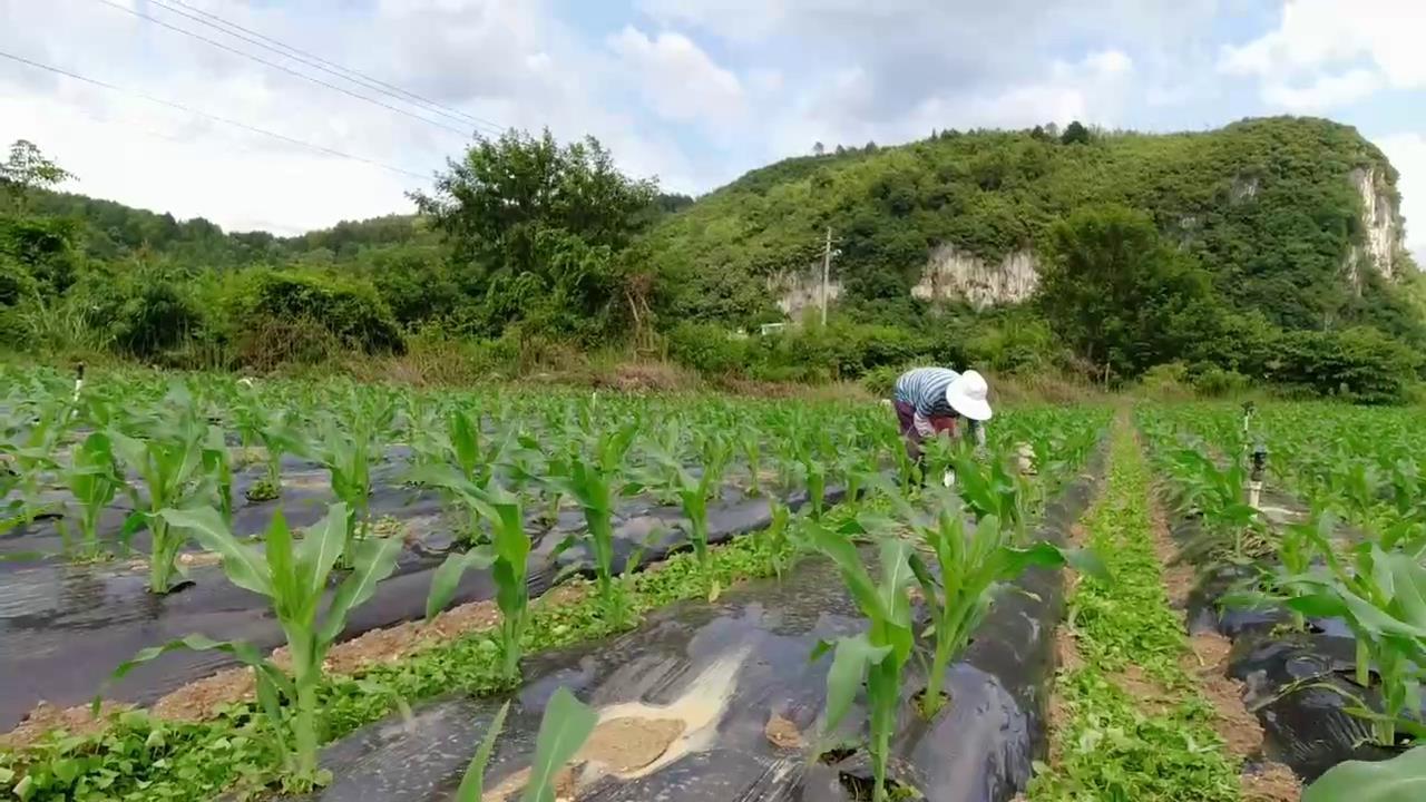 三原县特殊教育事业单位最新项目进展及其深远影响