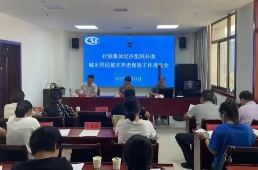 眉县人力资源和社会保障局新项目，地方经济与社会发展的强大推动力