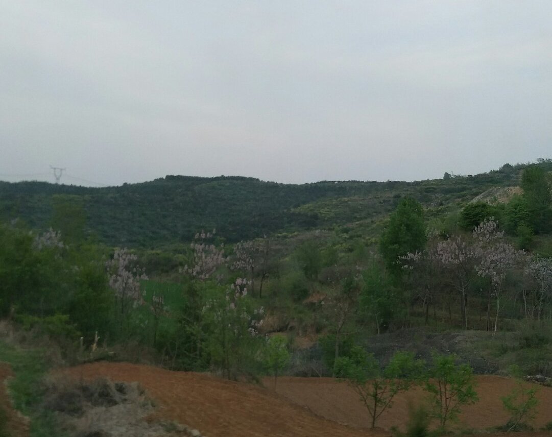 山西省晋城市高平市陈区镇天气预报更新通知