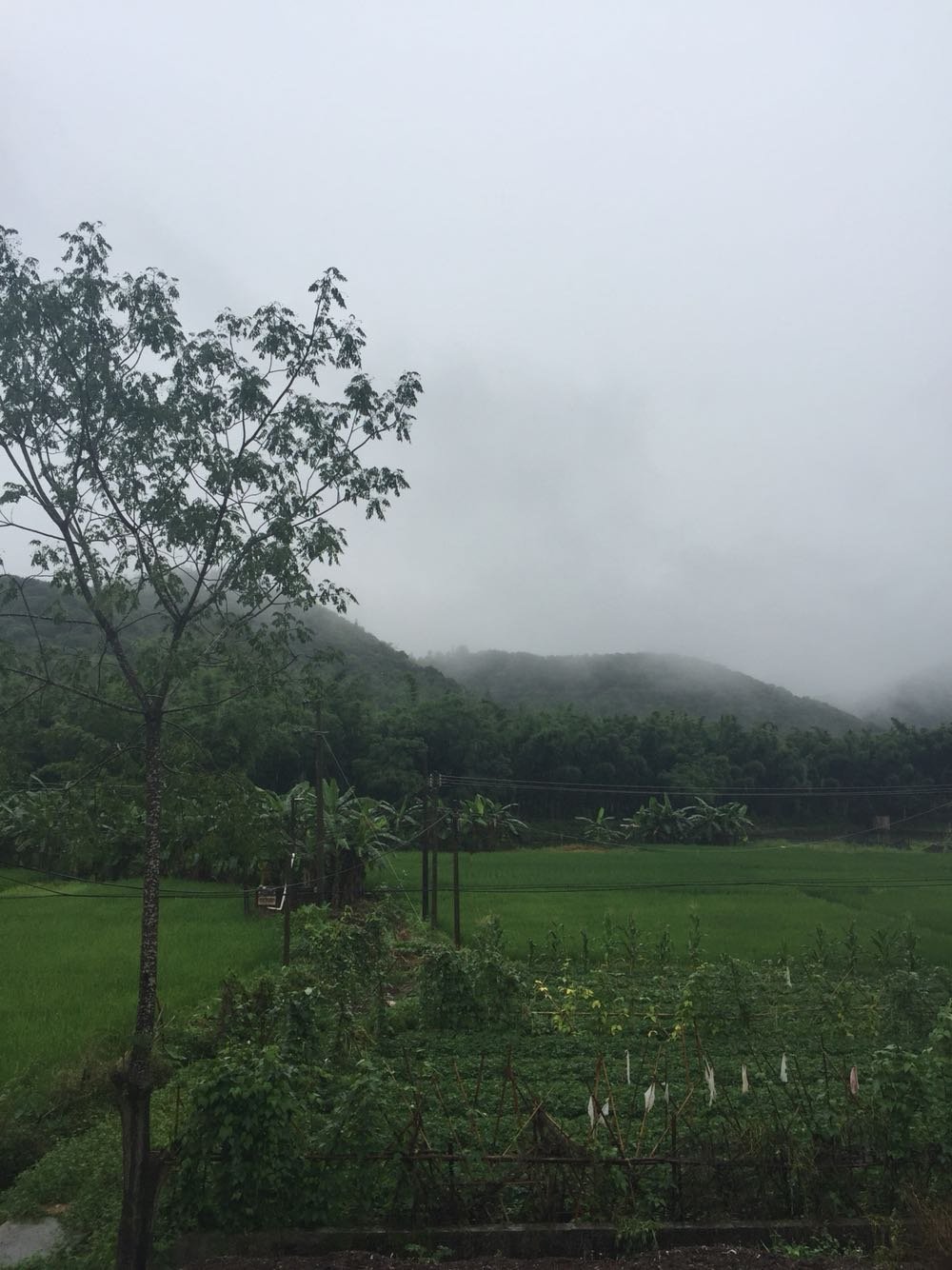 永胜乡天气预报更新通知