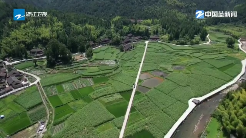 茅畲乡天气预报更新通知