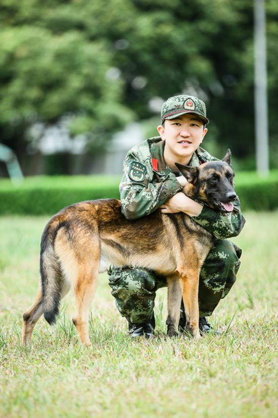 四只警犬通报批评，反思与改进措施