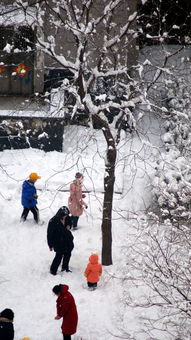 北京瑞雪纷飞