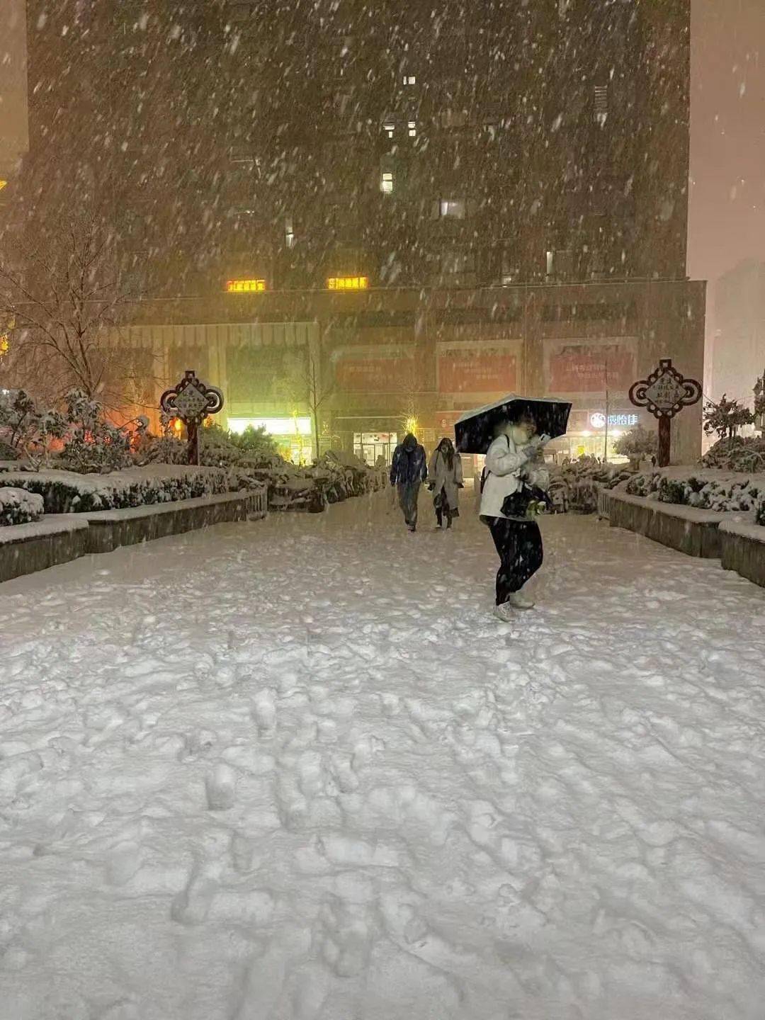 郑州大暴雪挑战，城市雪灾应对之策