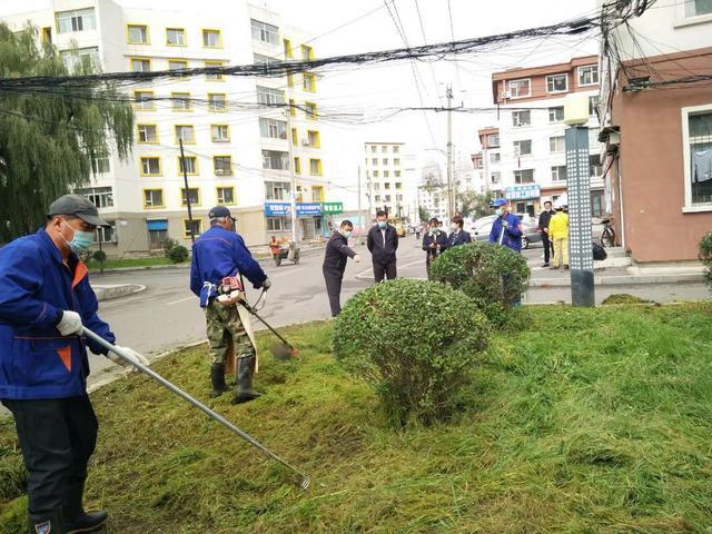 北极街道最新项目，重塑未来城市的蓝图计划