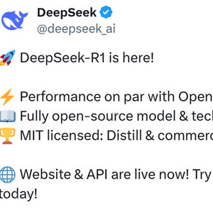 DeepSeek创始人梁文锋谈中国创新之道，资本与人才组织的深入理解