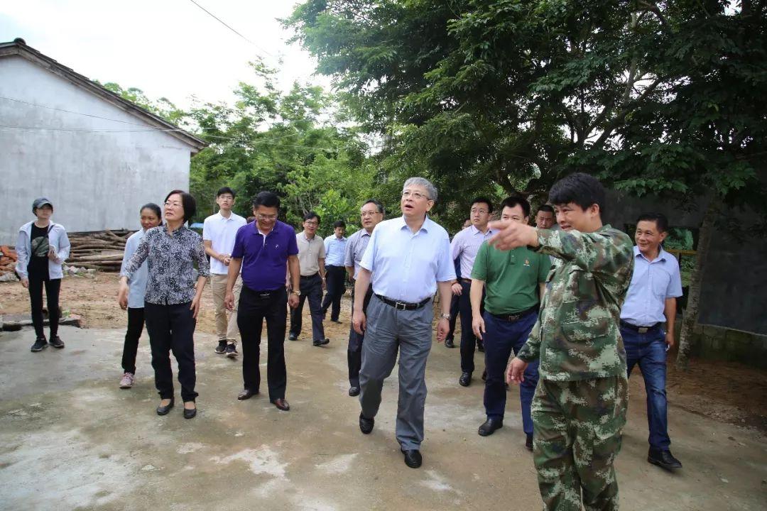 牙叉镇未来发展规划揭晓