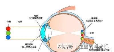 迎太阳闭眼10分钟，北大人民医院医生提出的近视预防方法真相与原理探究