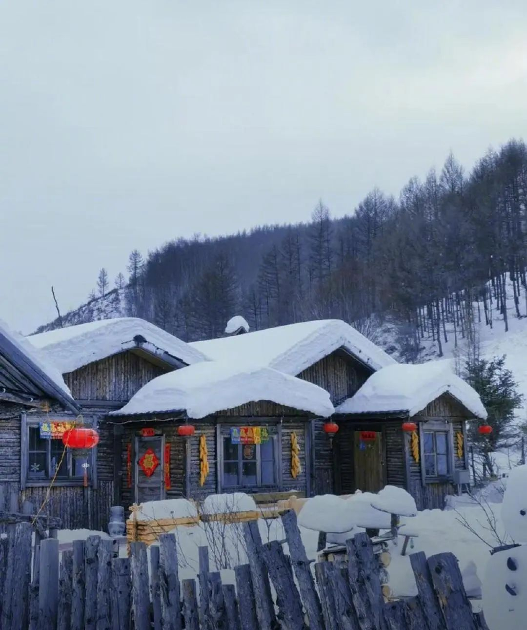 成都雪村因无雪闭园整改，重塑景区形象通报