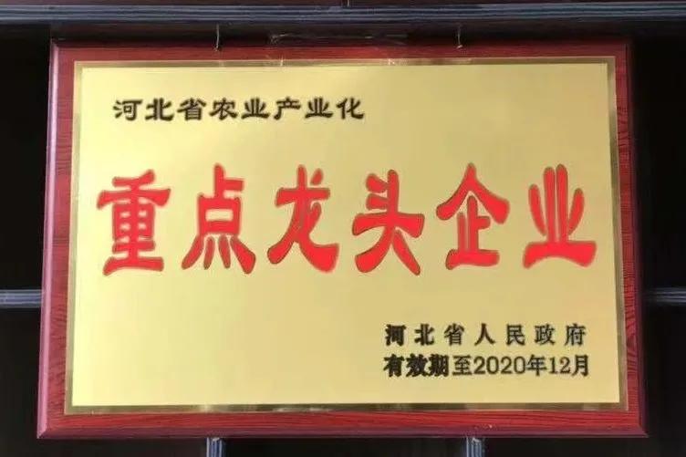 南皮县市场监督管理局领导团队全新概述