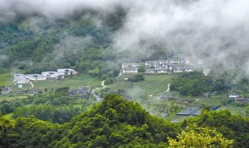 土地乡（天生村）最新发展规划概览