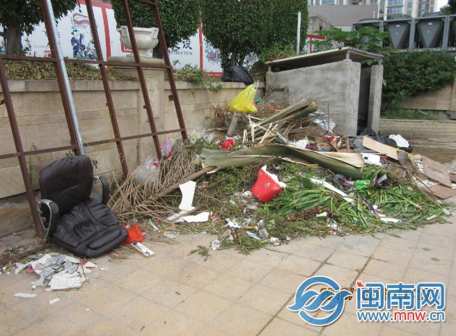 鲤城区体育局新项目启动，城市体育事业迈向新高度