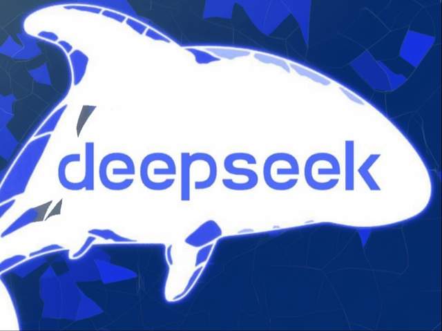 DeepSeek深度交流，细节成就未来