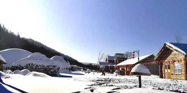 洼雪村最新项目重塑乡村未来愿景