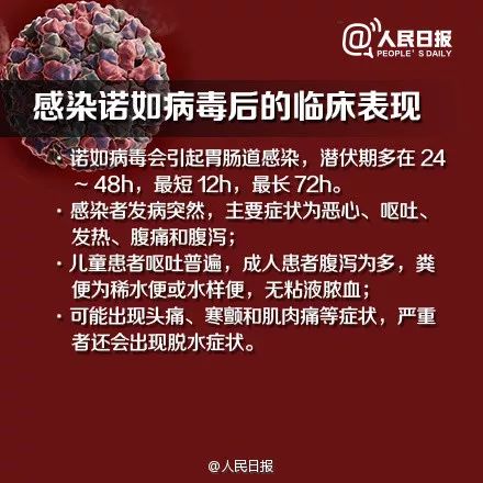 网传某地成诺如病毒重灾区，真相揭秘、影响及防控措施全解析