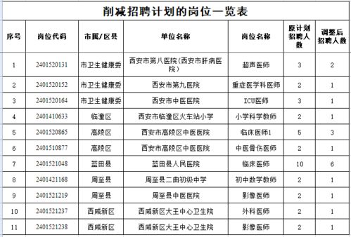 安岳县级托养福利事业单位发展规划展望