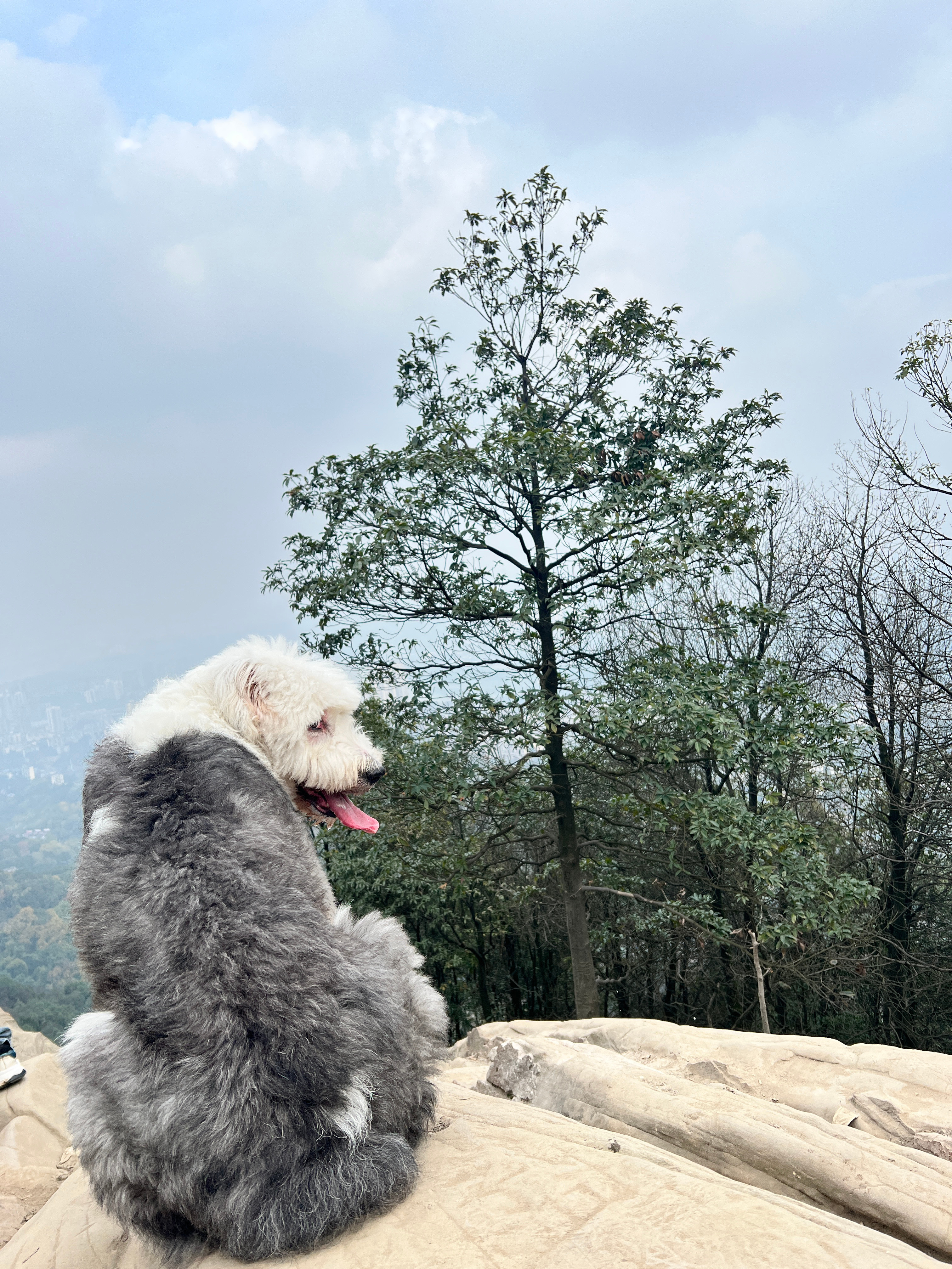 三峡小狗山，从无名之地走向网红旅游胜地