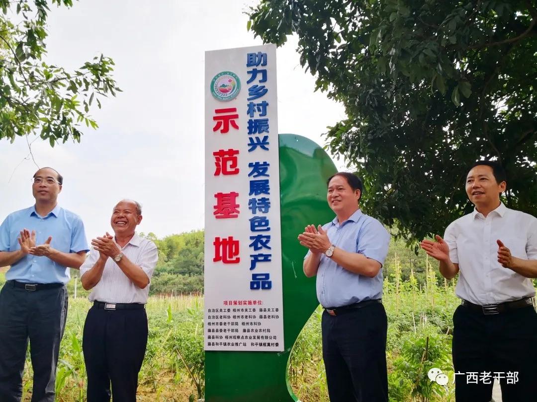 两关集村民委员会乡村振兴与社区发展融合项目新动向