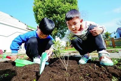 2025年3月8日 第19页