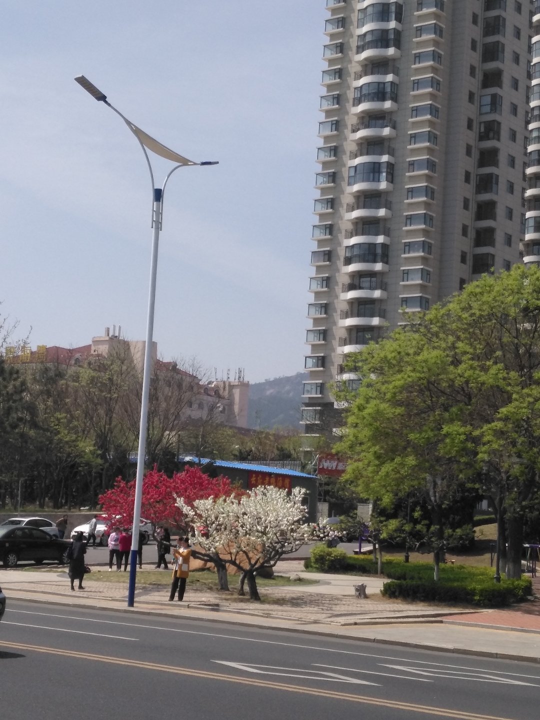 莱山街道天气预报详解