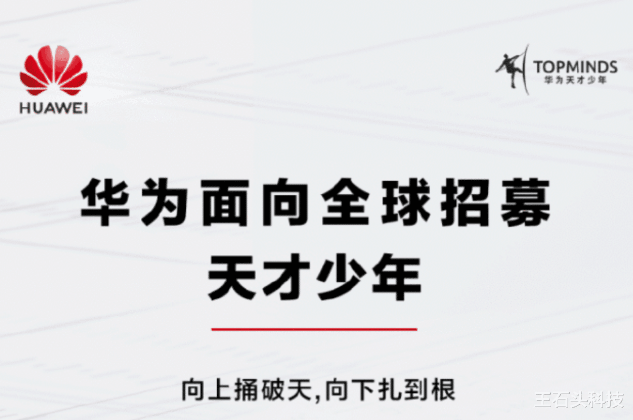 华为离职天才少年的启示，人才流动与企业文化的深度反思