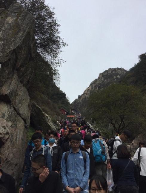 泰山陪爬小伙，年轻女性市场的新旅游业态关注焦点