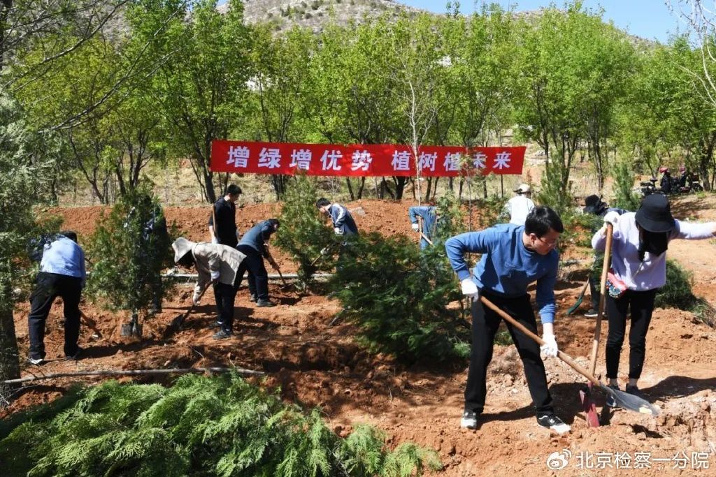 增绿就是增优势 植树就是植未来